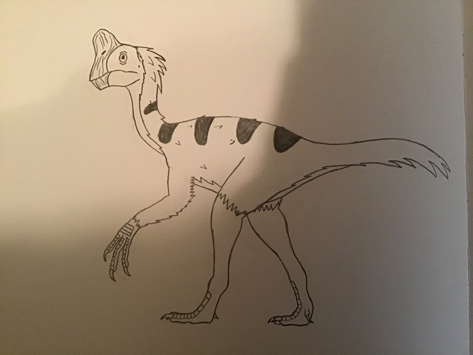 Oviraptor with color?