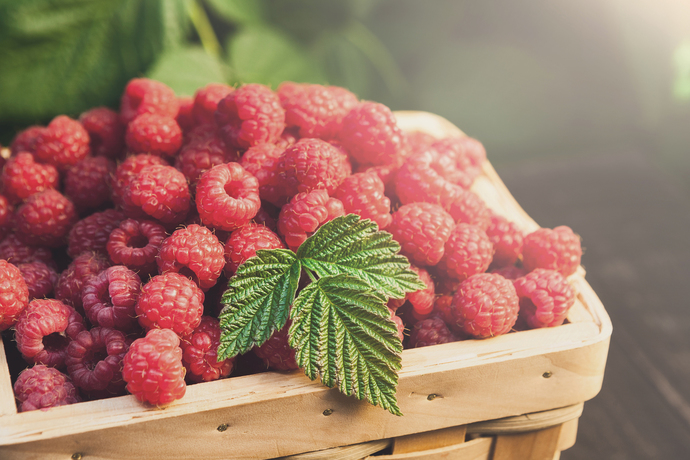 What is your favorite berry fruit?