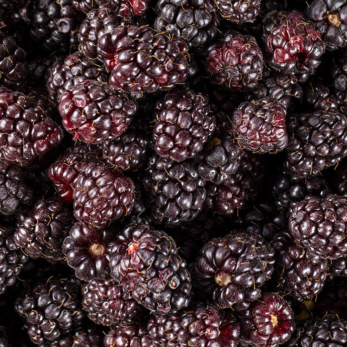 What is your favorite berry fruit?