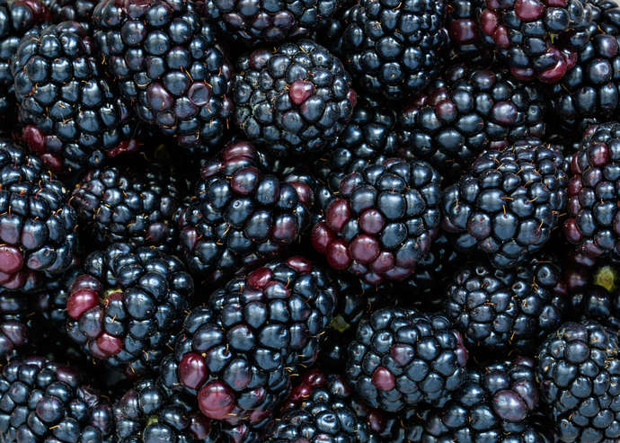 What is your favorite berry fruit?