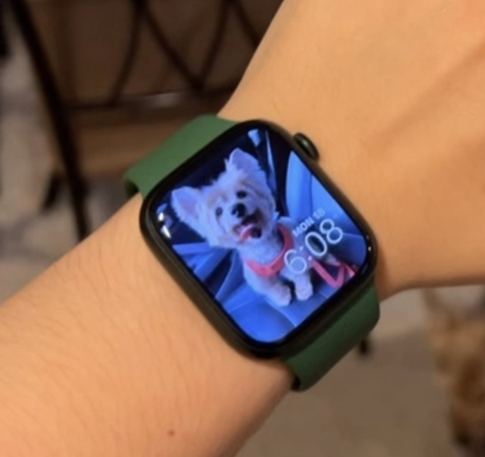 Which band looks best with my green Apple Watch?