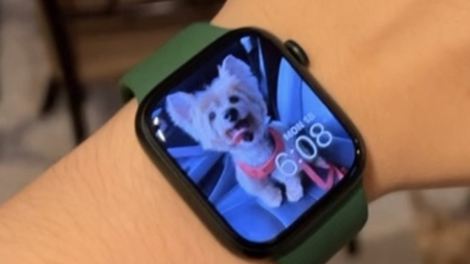 Which band looks best with my green Apple Watch?