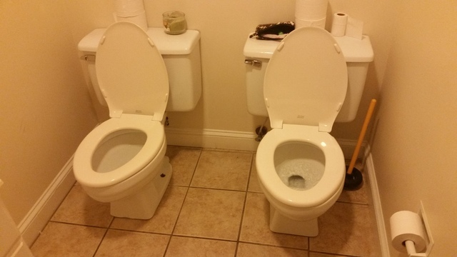 Girls, So ladies, would you use a stall that has someone in it but there's another toilet beside her?
