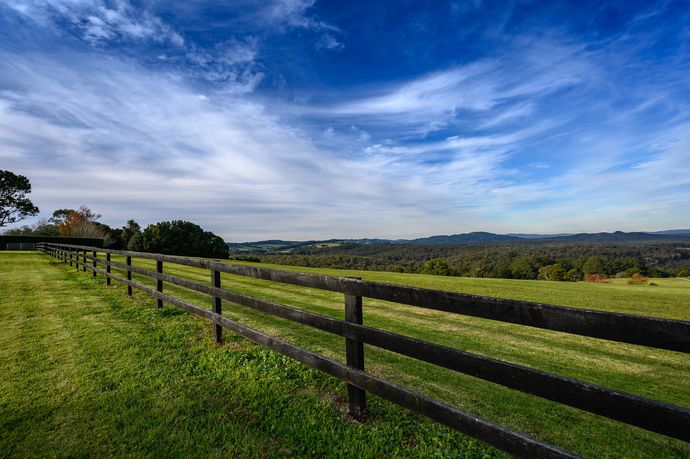 Do you prefer city or country life?
