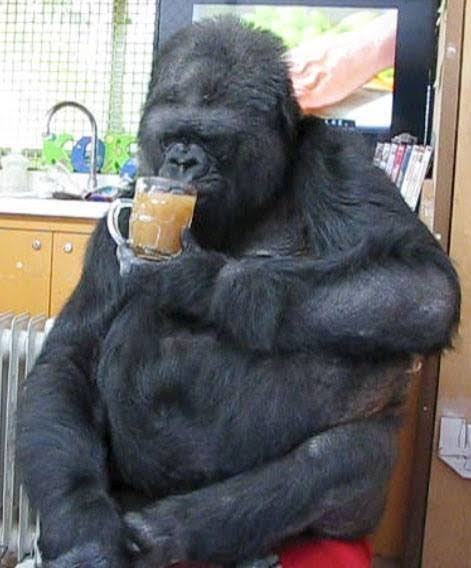 What do you think about our relatives?