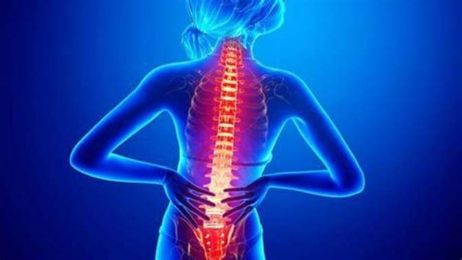 Have you ever hurt your back?