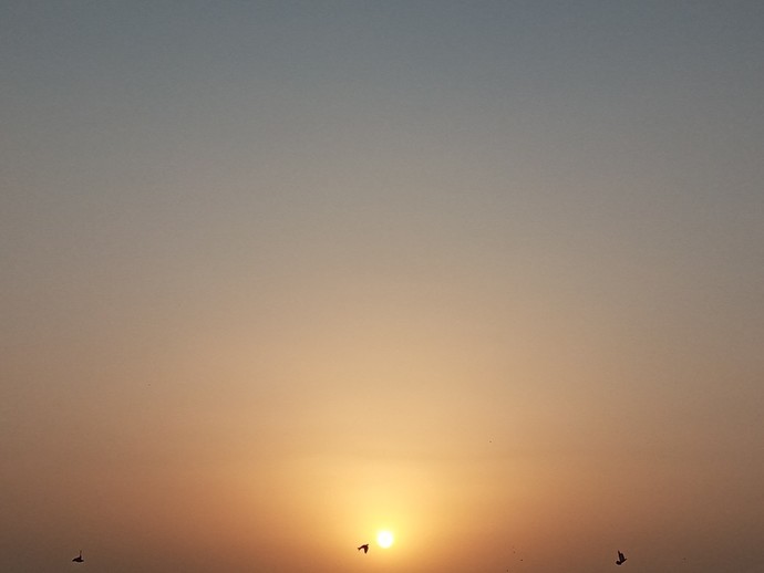 Which one do u like more irl? sunrises or sunsets?