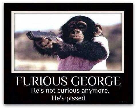 Did you ever read any Curious George as a kid?