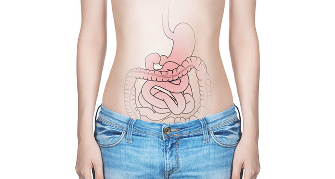 How long does it take for food to pass through the digestive system?