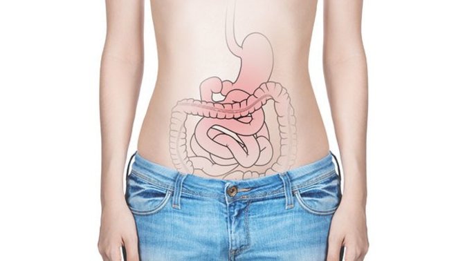 How long does it take for food to pass through the digestive system?