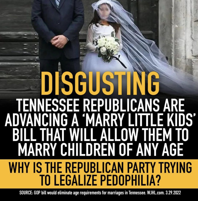 Did You Know That The Republicans Want Adults To Married Kids?