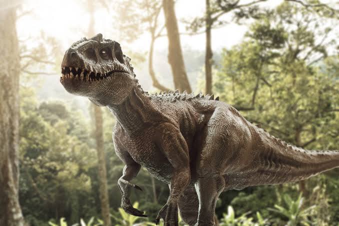 What do you like more: Dinosaurs or Anime?
