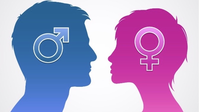 What are you attracted to?