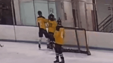 How into sports are you?
