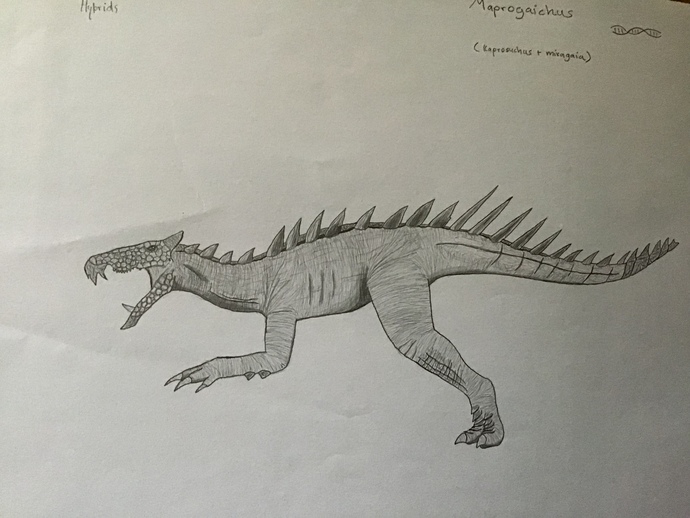 Maprogaichus (New Hybrid)?