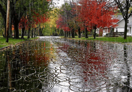 Best weather conditions for cuddling in your opinion?