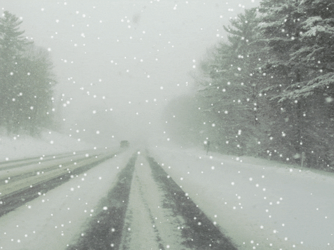 Best weather conditions for cuddling in your opinion?