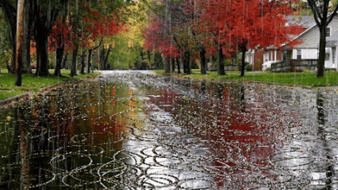 Best weather conditions for cuddling in your opinion?