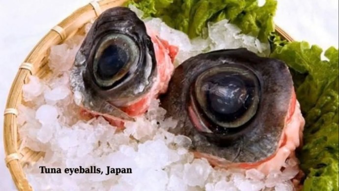 Tuna Eyeballs