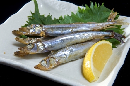 Do you like canned sardines?