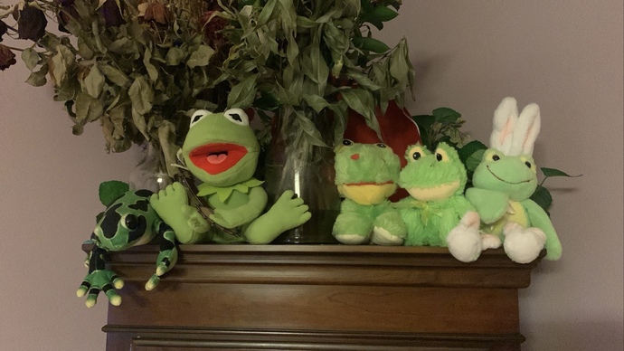 Are you afraid of frogs?