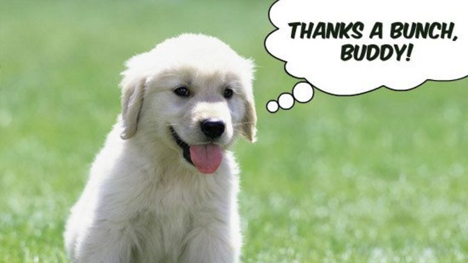 People who take the time to post a, "Thank you", comment for being selected as a "Most Helpful" commenter on Girls Ask Guys are so cute. Do you agree?