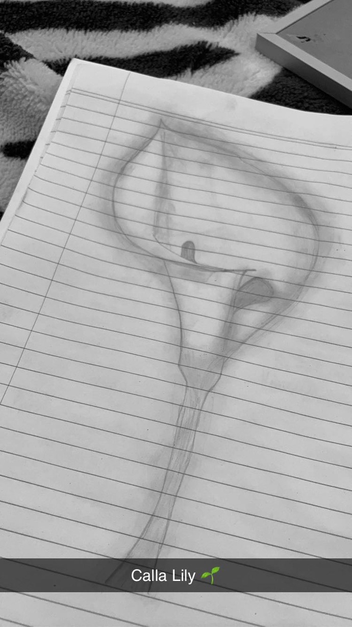 What do you think of my drawing?