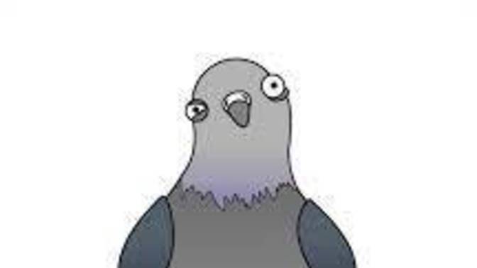 Are all birds just CIA drones designed to monitor our every movement?