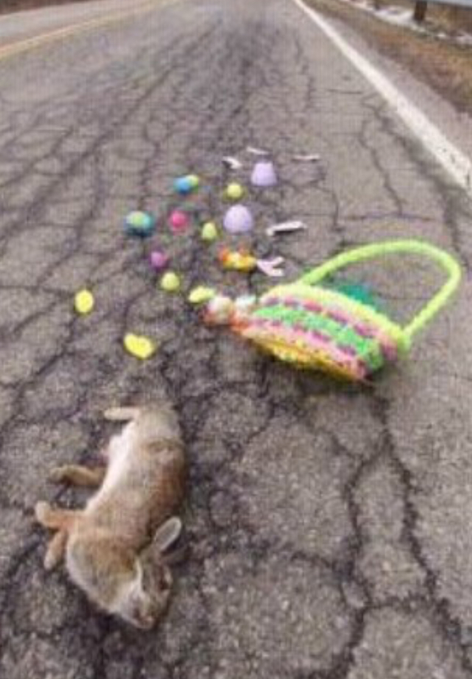 What are your Plans for Easter next Sunday?
