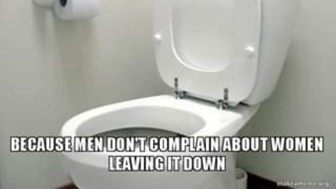 Yes, we all hear about men not putting the seat down, what I'd like to know, is why don't women put the seat up?