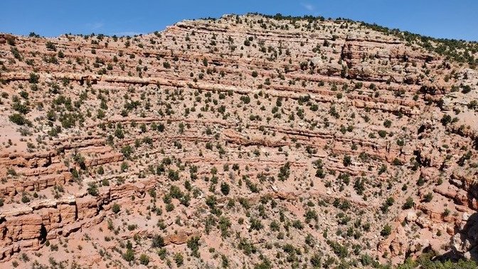 You are hiking in a place you've never been before and you come upon this, what do you do?