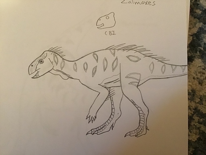 Zalmoxes with color?