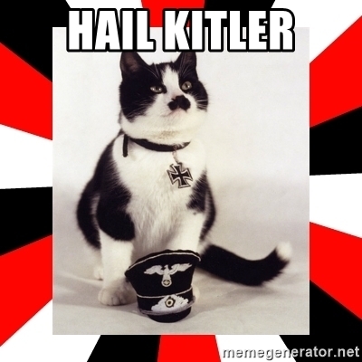 Would you ever adopt/purchase a “Kitler” cat?