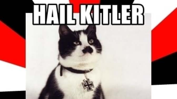 Would you ever adopt/purchase a “Kitler” cat?