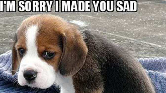 How would you rate your apologizing skills?