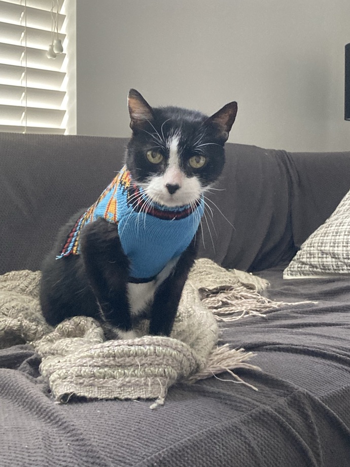 Oreo