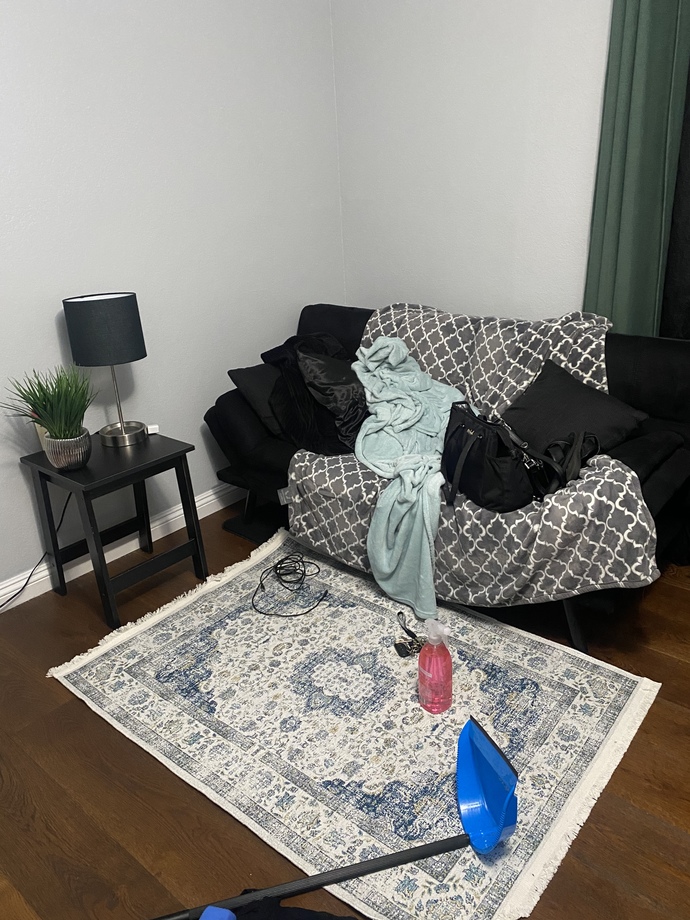 Poll- Is My Home Nice Of Ugly? How Can I Make My Home Elegant And Cozy And Not Cheap Looking?