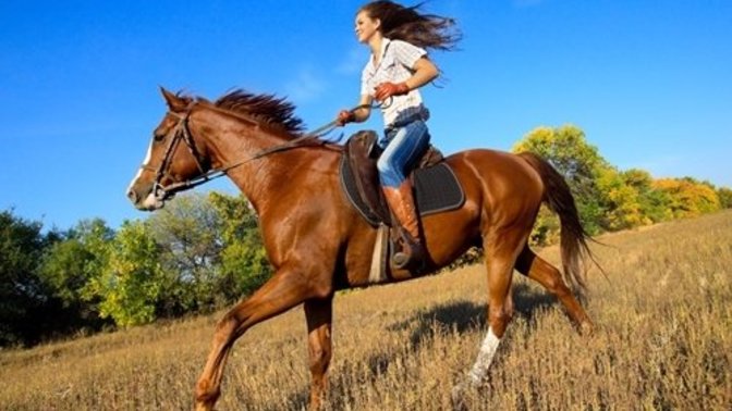 Have you ever ridden on animal before?