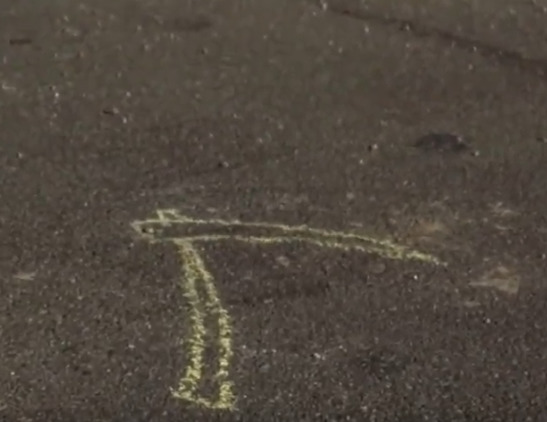You walk outside your front door and notice a scythe written in chalk on the street in front of your place. What is your reaction?