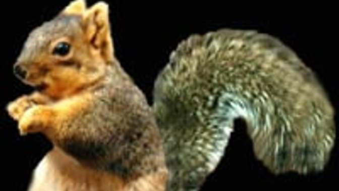 What is your favorite nut?