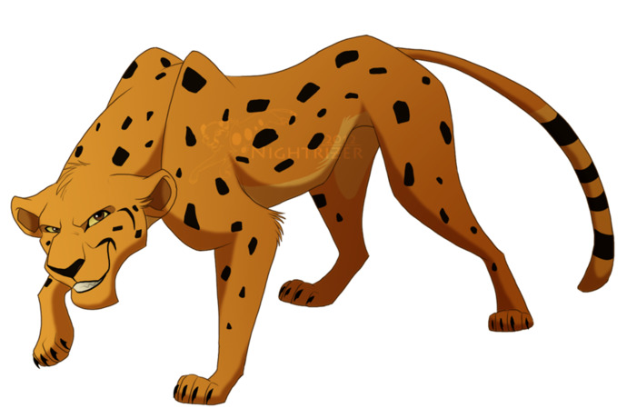 Cheetahs always win. Cause we f*ckin' cheat!