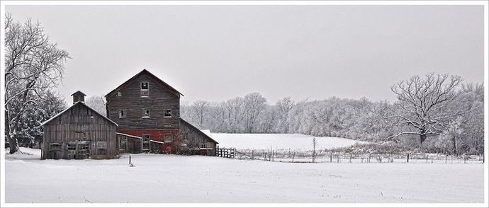 Which lifestyle do you think is better?