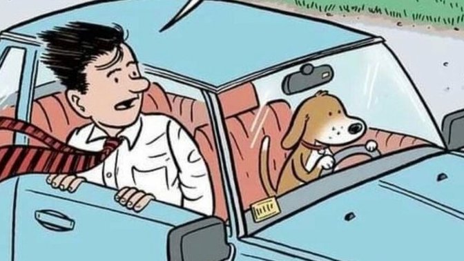 Do you let your dog stick it's head out of the window?