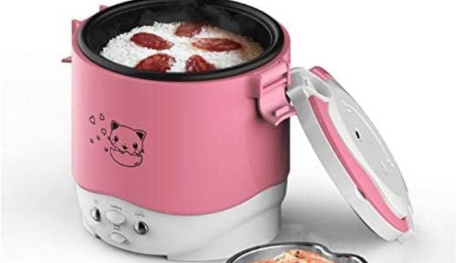 Which rice cooker is cuter?