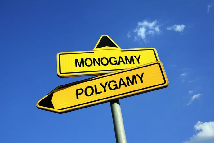 Monogamy or polygamy?