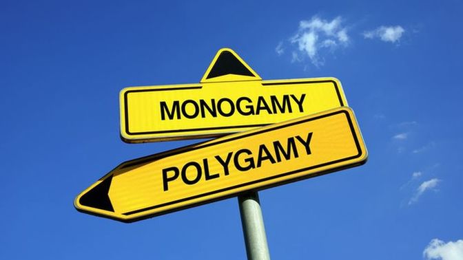 Monogamy or polygamy?