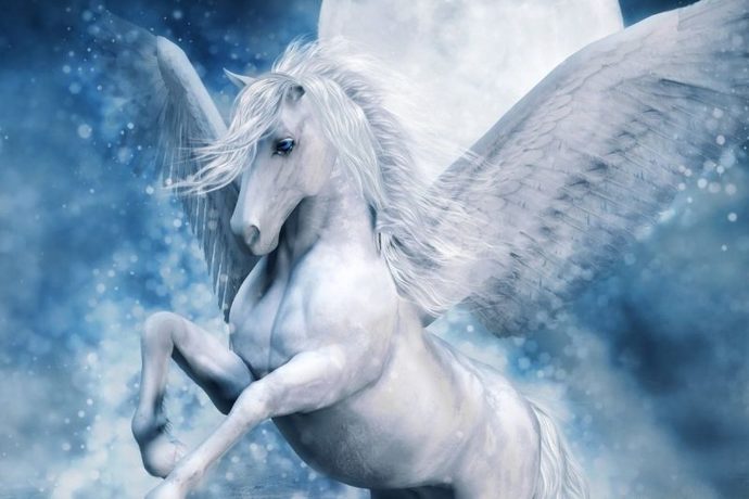 Pegasi are the true Chads.