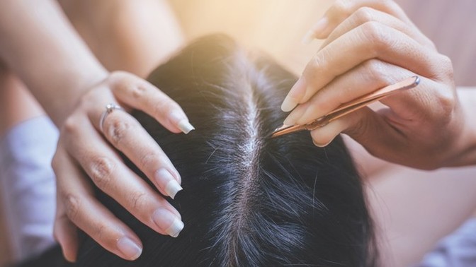 People with gray hairs, what do you do with them?