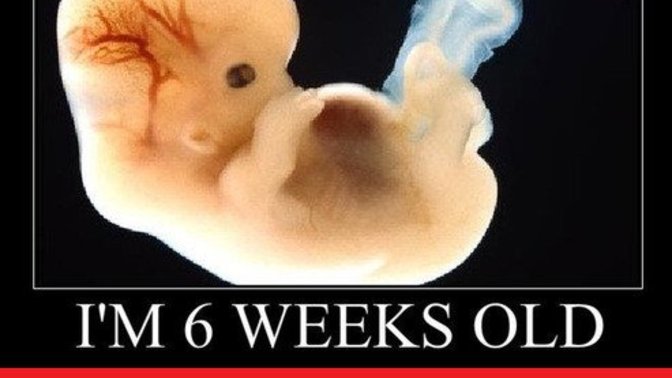 Is a fetus a human being? I think it is. What about you?