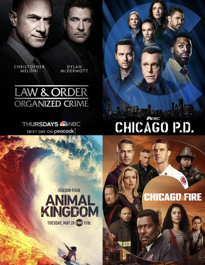 If these were the only things you could choose from, which would you watch first?